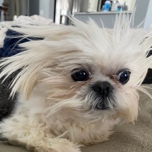 Meet your Posher, Richard